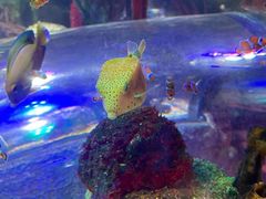 -沈阳海洋探索中心