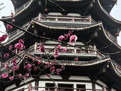 -洋湖国家湿地公园