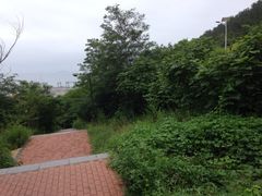 iphone_upload_pic-西尖山公园