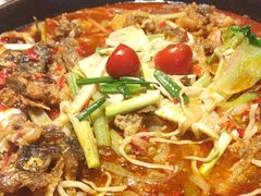 -老板恋上鱼(恒隆广场店)