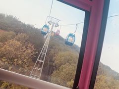 -东湖磨山景区