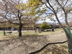 -奈良公园