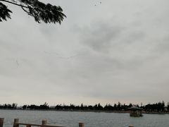 -龙舟池