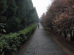 -秦始皇帝陵博物院-丽山园