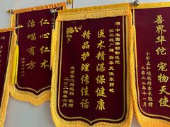 -中农国际动物医院24小时·猫科·骨科·急重症中心