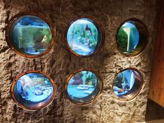 -辉哥火锅(虹桥路店)