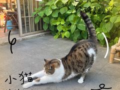 -苏州姑苏小院·东花里酒店
