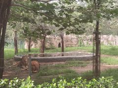 -秦皇岛野生动物园