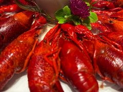 -杨氏青龙虾·羊蝎子(珠江路店)