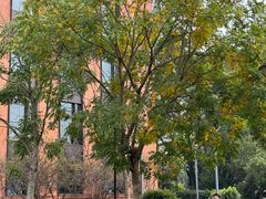 -东钱湖旅游度假区