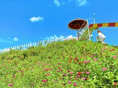 -嘉北郊野公园