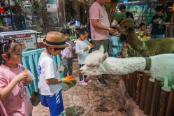 -宝燕乐园(闵行旗舰店)