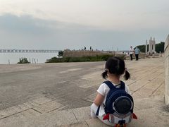 -宝安西湾红树林湿地公园