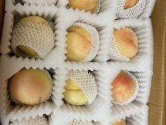 -南汇新场正宗水蜜桃采摘