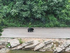 -大连森林动物园