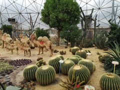 -盈香心动乐园