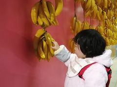 -上海外滩星空失恋减压馆(外滩旗舰馆)