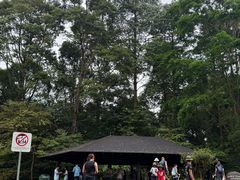 -武吉知马自然保护区