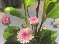 -千禧万福汉亭舫·船舫苏宴