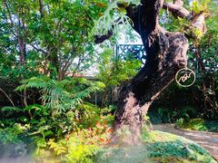 -Chom Cafe and Restaurant