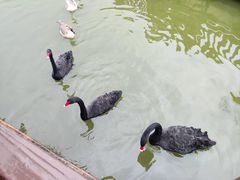 -无锡动物园·太湖欢乐园
