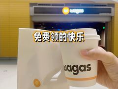 -Wagas沃歌斯(浦东机场店)
