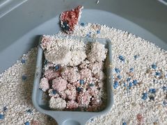 -谐和益家动物医院·免疫绝育·血液透析·宠保定点医院(高新伊藤分院)