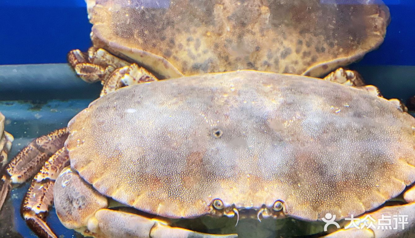 海鲜香不怕巷子深🦪🍤🐟🐚