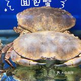 海鲜香不怕巷子深🦪🍤🐟🐚