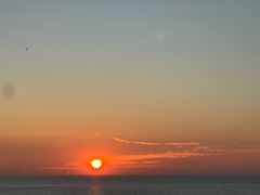 -春花秋色城市公园