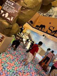 -卡通尼·Safari非洲探索乐园·生日会(金桥国际商业广场店)