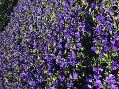 -上海市龙华烈士陵园