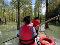 -泗洪洪泽湖湿地景区