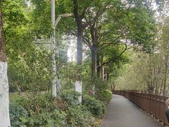 -广东花都湖国家湿地公园