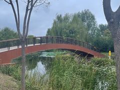 -东郊湿地公园