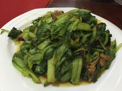 小白菜-朝阳肘子店(栖里凤台山庄店)