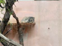 -青藏高原野生动物园