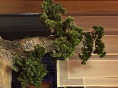 -文三酒肆自助放题(新街口友谊广场店)