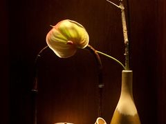 -青花餐厅(雅谷泉山庄酒店)