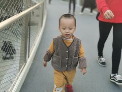 -仙岳公园