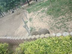 -石家庄市动物园