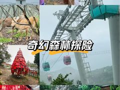 -大连森林动物园