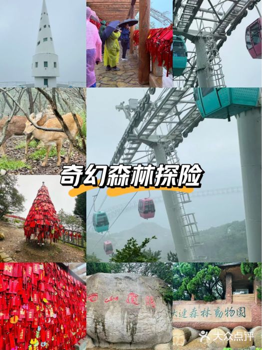 大连森林动物园图片