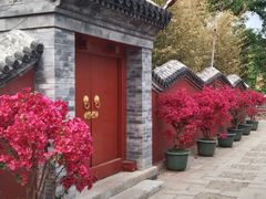 -红螺寺
