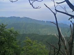 -武汉姚家山旅游景区