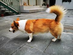 -NEA BAY咖啡馆