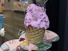 杨梅冰激凌-野人先生现做冰淇淋(北京顺义祥云小镇店)