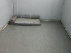 -宠物寄养训练学校