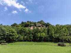 -绍兴镜湖国家城市湿地公园