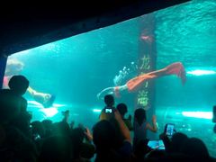 -洛阳龙门海洋馆